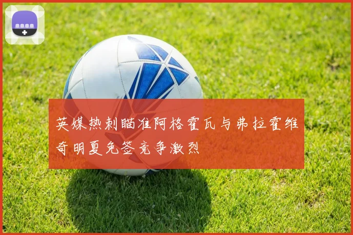 英媒热刺瞄准阿格霍瓦与弗拉霍维奇明夏免签竞争激烈