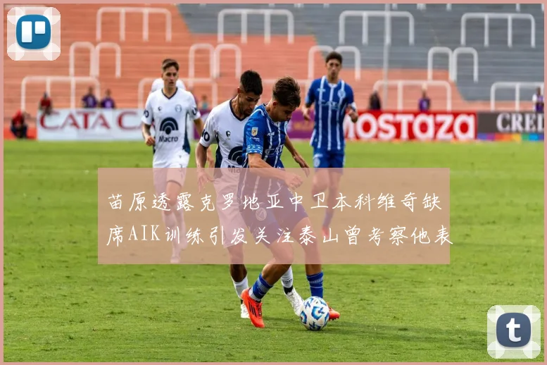 苗原透露克罗地亚中卫本科维奇缺席AIK训练引发关注泰山曾考察他表现